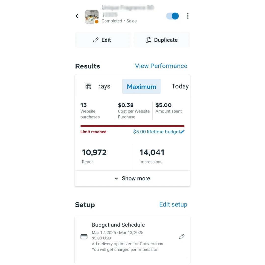 Facebook Ads Result 3